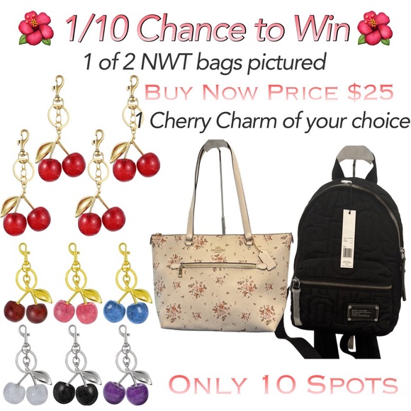 🌺🌺LIVE SHOW WINNERS CHOICE🌺🌺 BAG CHARM PURCHASE - Picture 1 of 11